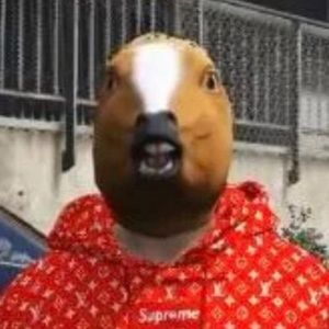 Meet your Posher, Gabriel